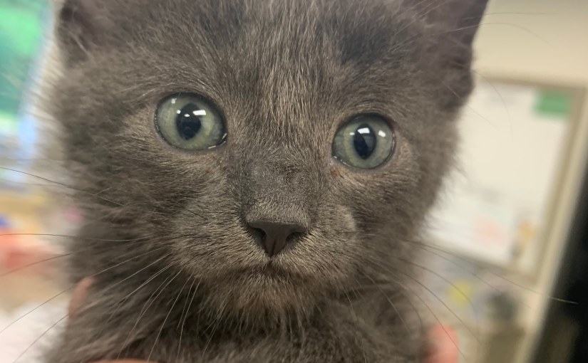 Her Name Is&nbsp;Marley